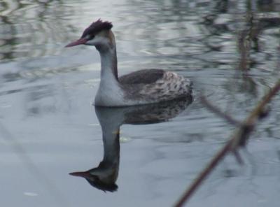 Прикрепленное изображение: 001c.jpg